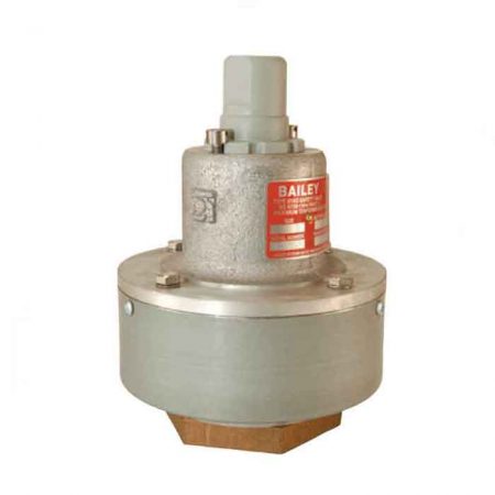 Bailey 616D Safety Valves